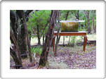 Land Art Artist